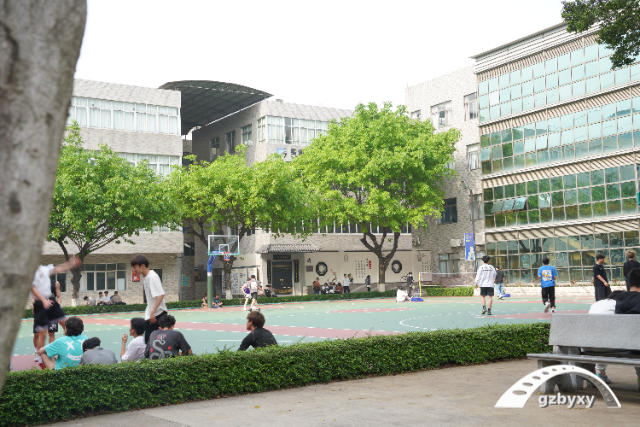 广东中专学校排名榜，中考失利上私立高中还是中专更好插图